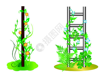 矢量说明 - 有花的垂直植物背景图片