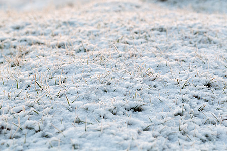 具有雪中干草的抽象自然背景图片