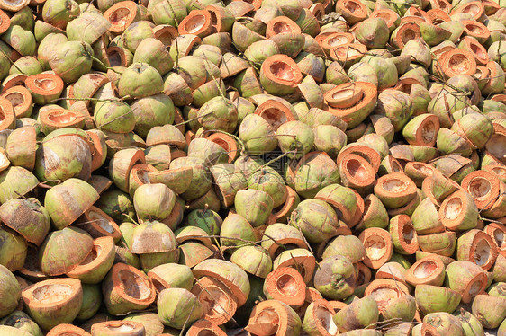 被抛弃的椰子壳椰子农业植物乡村种子粉碎农场棕榈纤维水果图片