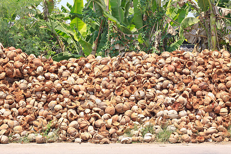 被抛弃的椰子壳坚果乡村可可丢弃植物热带纤维水果农场纤维状图片