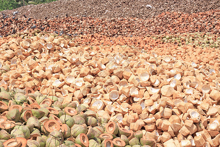 被抛弃的椰子壳粉碎农场回收椰子热带丢弃纤维状坚果纤维农业图片