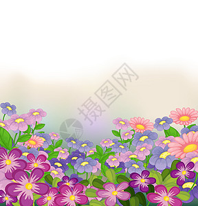 花朵多彩的花园绘画花蜜植物屏幕白色场景蓝色紫色农业花瓣图片