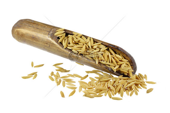白地上孤立的稻谷黄色谷物粮食水稻栽培食物种子培育稻田营养图片