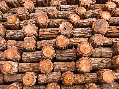 切碎的木柴堆炉格特写 剪切的木柴堆壁炉活力柴堆环境木材链锯燃料森林资源圆圈图片