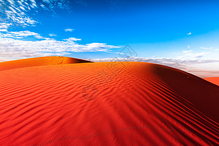 红沙丘中的动物足迹蓝色乡村国家曲目日落波纹荒野场景崎岖风景图片