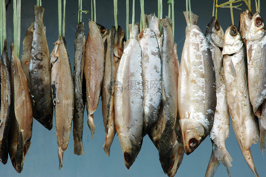 干燥过程中挂在了牛奶鱼身上太阳美食尾巴生产午餐烹饪市场钓鱼熏制商业图片