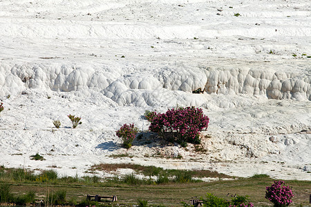 土耳其帕穆卡勒的特雷弗丁池和梯田洗澡订金青色旅行编队岩石地质学碳酸盐石灰华火鸡背景图片