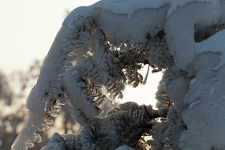 寒冬的压抑进入寒冷的下午天气画报国家冻结场地高地日落暴风雪魔法季节图片