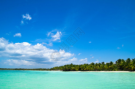 海 海天空热带气候海岸线海浪地平线蓝色边缘场景假期图片