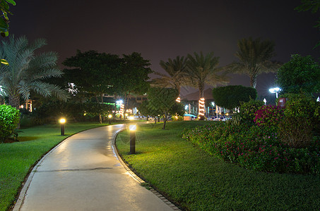 园花园土地灯柱街道照片公园来源植物灌木小路背景图片