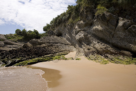 坎塔布里安海桑坦德海滩悬崖苔藓海浪植被图片