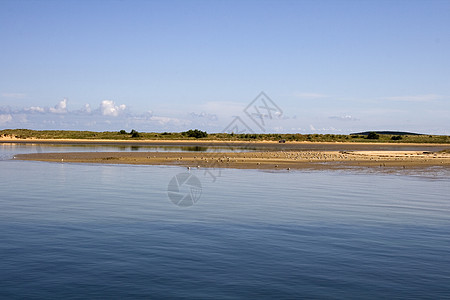 桑坦德海海岸渡船自然景观海鸥海湾胸部海洋海鸟峡湾鸟类图片