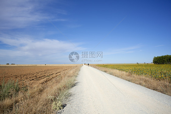 圣詹姆斯之路尘土护柱宗教背包传统信仰圣者路线道路旅程图片