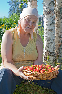 草莓作物篮子甜点女士爱好头巾活力食物美食成人收获图片