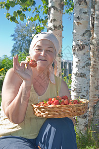 草莓作物爱好女士活力蓝色园艺水果篮子美食健康展示图片