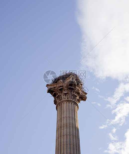 纪念七十七军团的一栏内 莱昂历史城市意义柱子纪念碑首都创始人图片