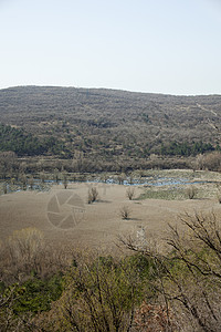 喀斯特湖多贝多树木表皮运河潜水座位样性洼地岩溶池塘支流图片