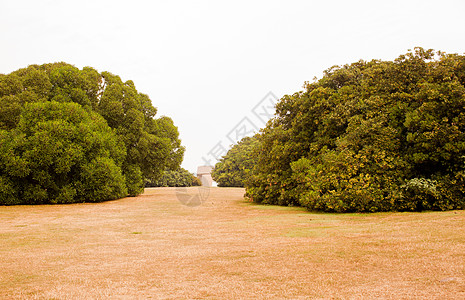 吉洪圣卡塔利纳山公园植物树木公园绿色图片