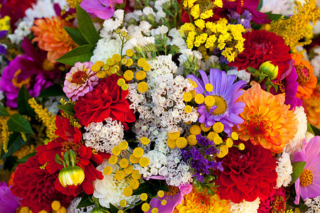 各种彩色花束花团图片
