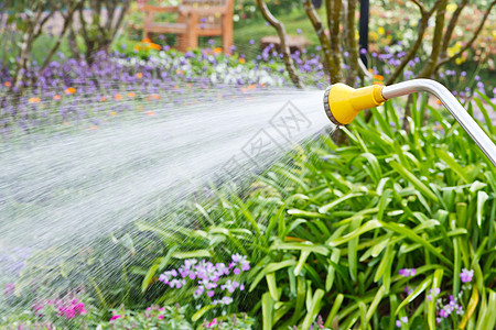 在园中浇水花园园艺洒水器绿色公园工具植物图片