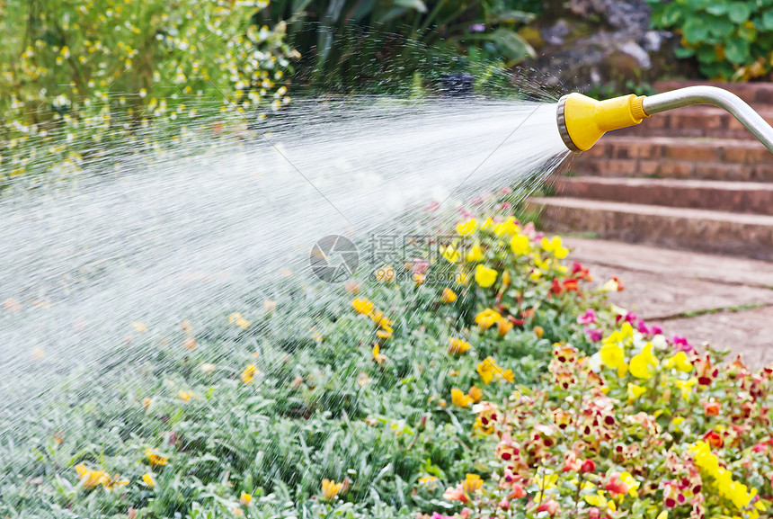 在园中浇水公园植物园艺工具花园绿色洒水器图片