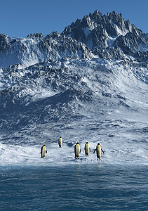 企鹅荒野反射蓝色石头顶峰波浪动物海洋天空插图图片