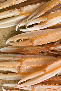 围网类贝类海鲜美食小龙虾奢华甲壳龙虾食物盘子餐厅背景图片