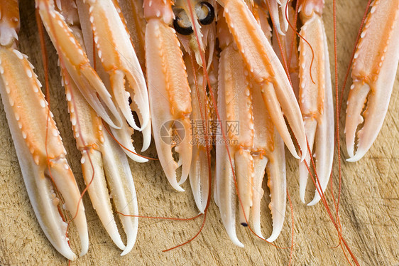 围网类奢华甲壳橙子用餐市场烹饪贝类动物菜单食谱图片