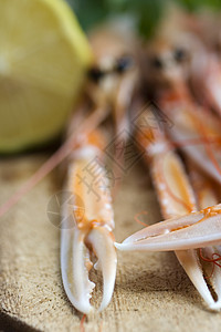 斯坎皮食谱美食橙子奢华牡蛎动物海鲜贝类小龙虾食物图片