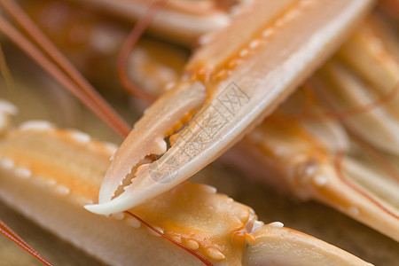 围网类牡蛎美食食谱拼盘橙子餐厅烹饪贝类海鲜渔夫图片