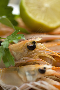 斯坎皮拼盘用餐美食烹饪菜单海鲜餐厅甲壳奢华动物图片