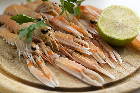 斯坎皮动物牡蛎食谱菜单贝类市场食物龙虾烹饪海鲜图片