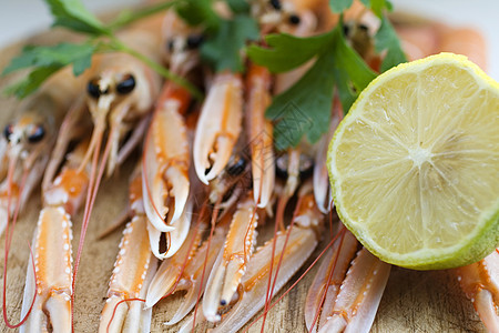 斯坎皮食谱海鲜渔夫食物动物牡蛎美食贝类小龙虾甲壳图片