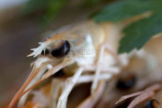 斯坎皮贝类海鲜小龙虾市场食谱龙虾动物拼盘餐厅甲壳图片