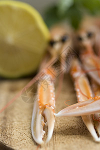 斯坎皮甲壳美食龙虾海鲜餐厅橙子食谱烹饪小龙虾奢华图片