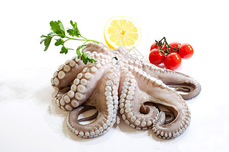 八角海鲜息肉鲭鱼海藻烹饪钓鱼午餐厨房柜台营养图片