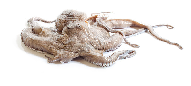 八角钓鱼海洋食品市场用餐美食章鱼食物眼睛厨房图片