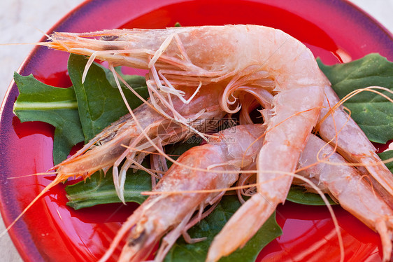 冲刷渔夫生活小龙虾美味菜单烹饪美食营养师食品饮食图片