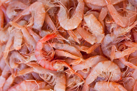 虾奢华饥饿烹饪美食食谱餐厅天线营养师渔夫午餐图片