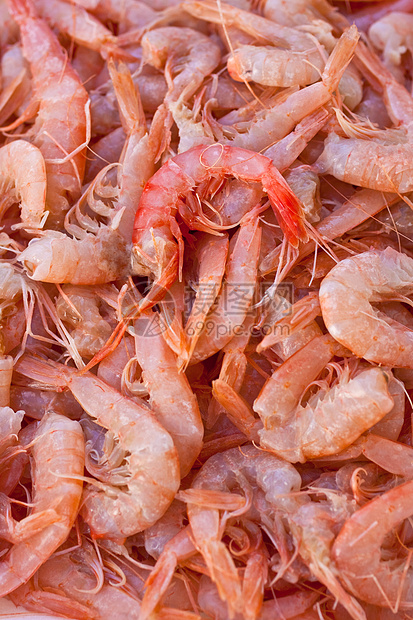 虾渔夫饮食生活市场饥饿甲壳动物食物天线菜单图片
