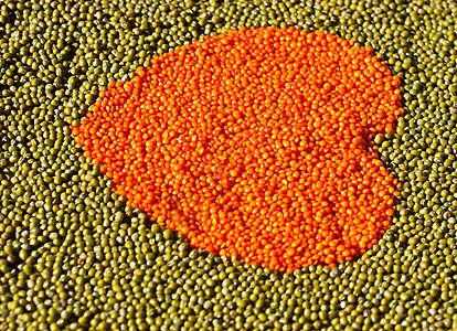 扁豆和豆类之心食谱橙子饮食食物蔬菜烹饪营养美食养分饥饿图片