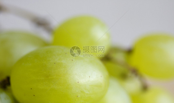 葡萄场地红色藤蔓收成白色绿色农业浆果水果粮食图片