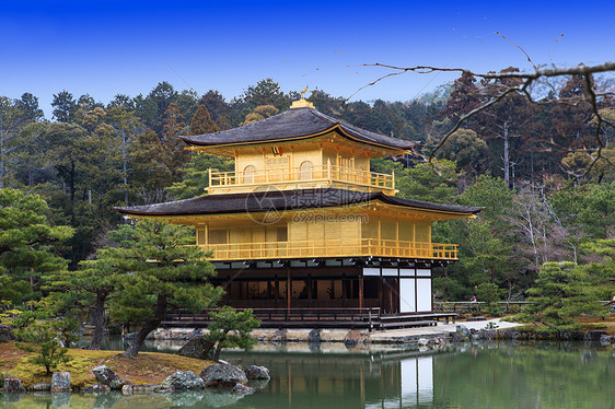 京角寺庙池塘地标松树公园宝塔佛教徒吸引力观光旅行宗教图片