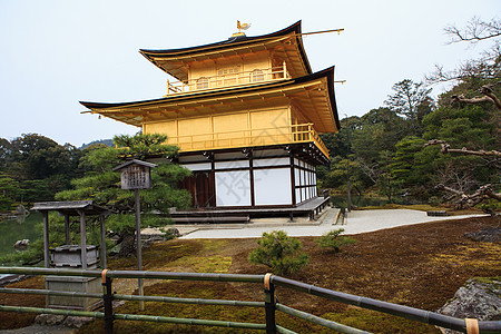 京角寺庙反射宝塔亭子旅游森林佛教徒游客吸引力公园旅行图片