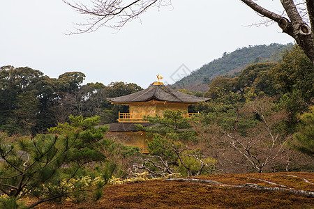 京角寺庙明信片公园地标池塘游客宝塔森林观光松树旅行图片