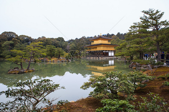 京角寺庙历史性宗教吸引力反射池塘旅游旅行观光明信片金子图片