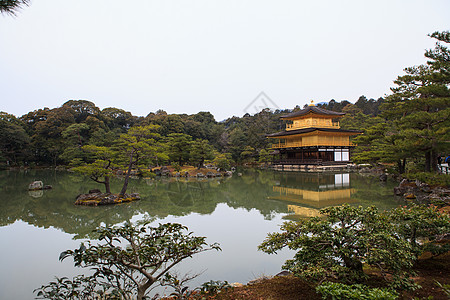 京角寺庙金子旅行游客森林吸引力松树观光旅游宝塔宗教图片