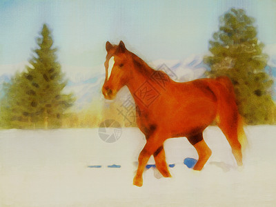一匹马的原始水彩画图片