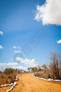 萨瓦纳公路荒野旅游蓝色橙子风景小路公园大草原地平线环境图片