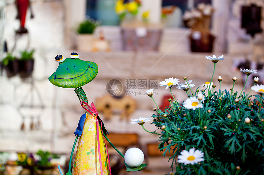 青蛙玩具绿色游戏花园蟾蜍植物家具花朵雏菊图片